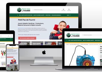 SITE INTERNET PETIT PAS DE FOURMI